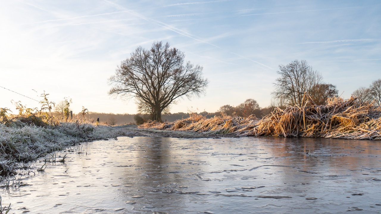 Het heeft vannacht voor het eerst dit winterseizoen in De Bilt matig gevroren. Foto: Jos Hebben