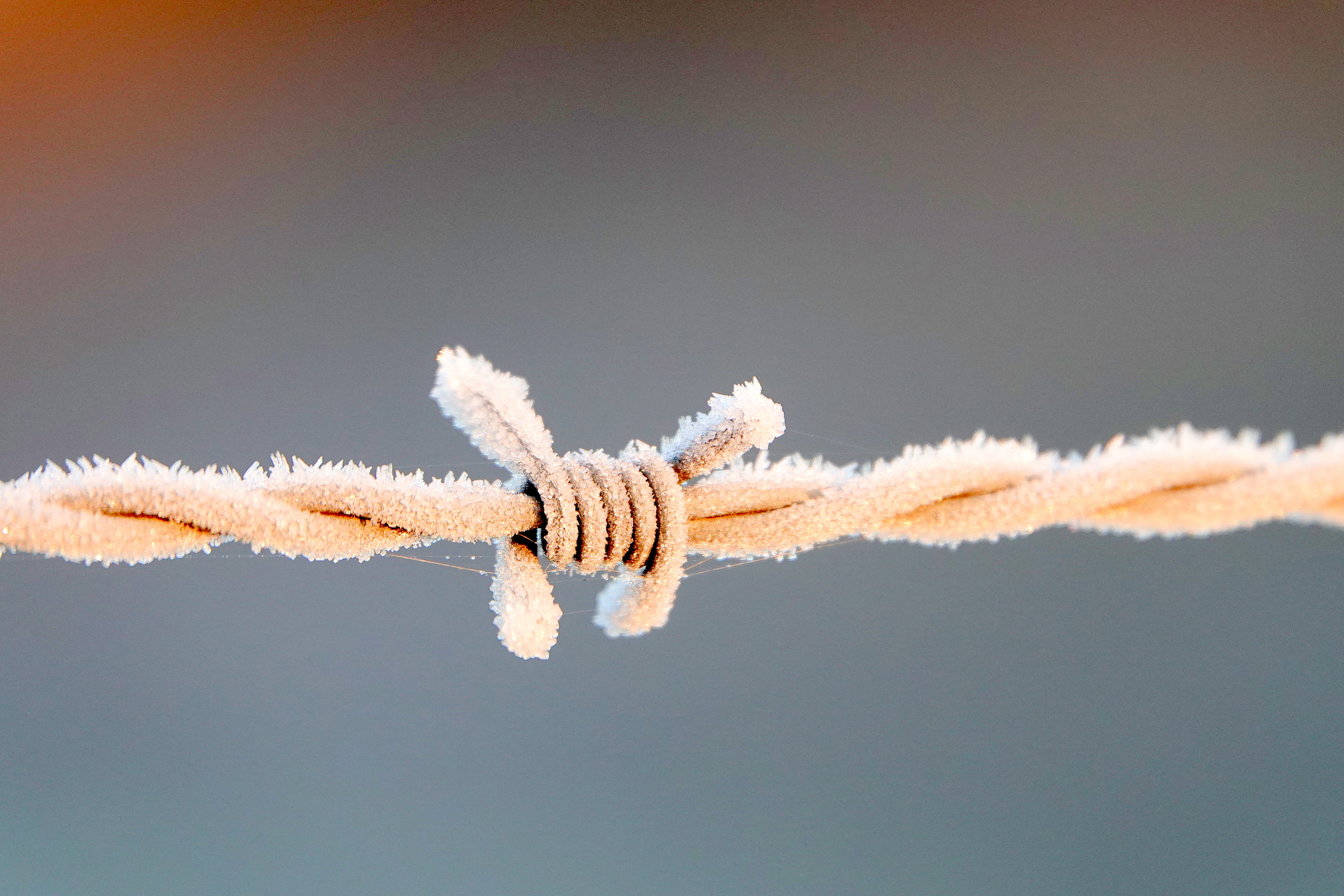 Het was een koude nacht. Foto: Ben Saanen