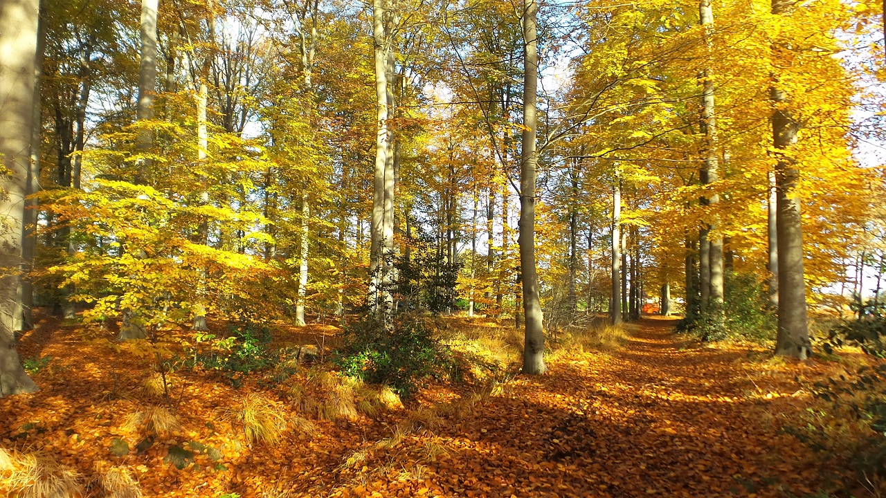 De meest unieke plekjes voor weerfotografie in de herfst
