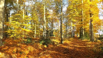 De meest unieke plekjes voor weerfotografie in de herfst