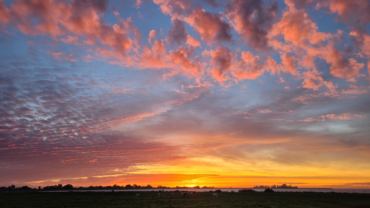 Schitterende zonsopkomst in Schellinkhout. Foto: Joke Nijenhuis