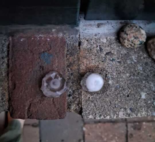 Hagel van ongeveer 2 centimeter in Leidschendam. Foto: Manouk Vermeulen