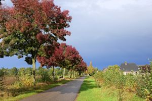 meteo tours vent Oktober 2023: warm en nat