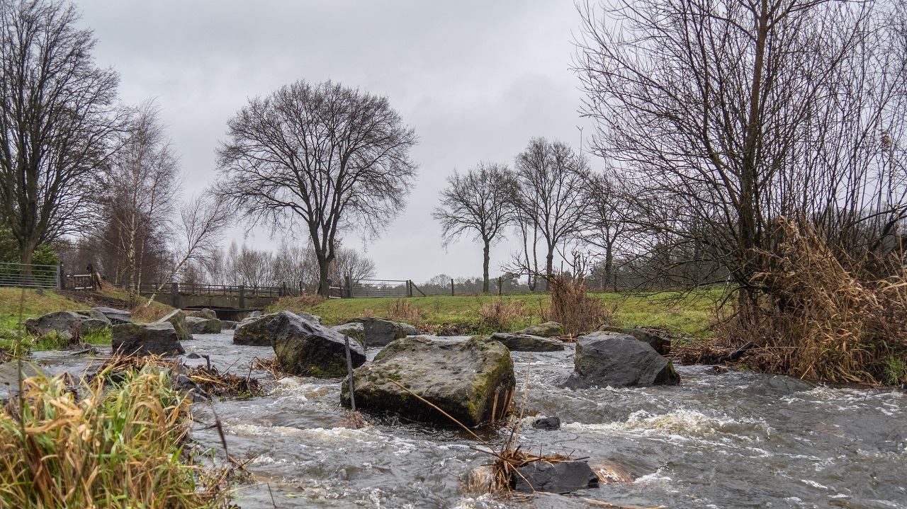 Het weerbeeld ziet er dit weekend vaak grijs uit. Foto: Jos Hebben