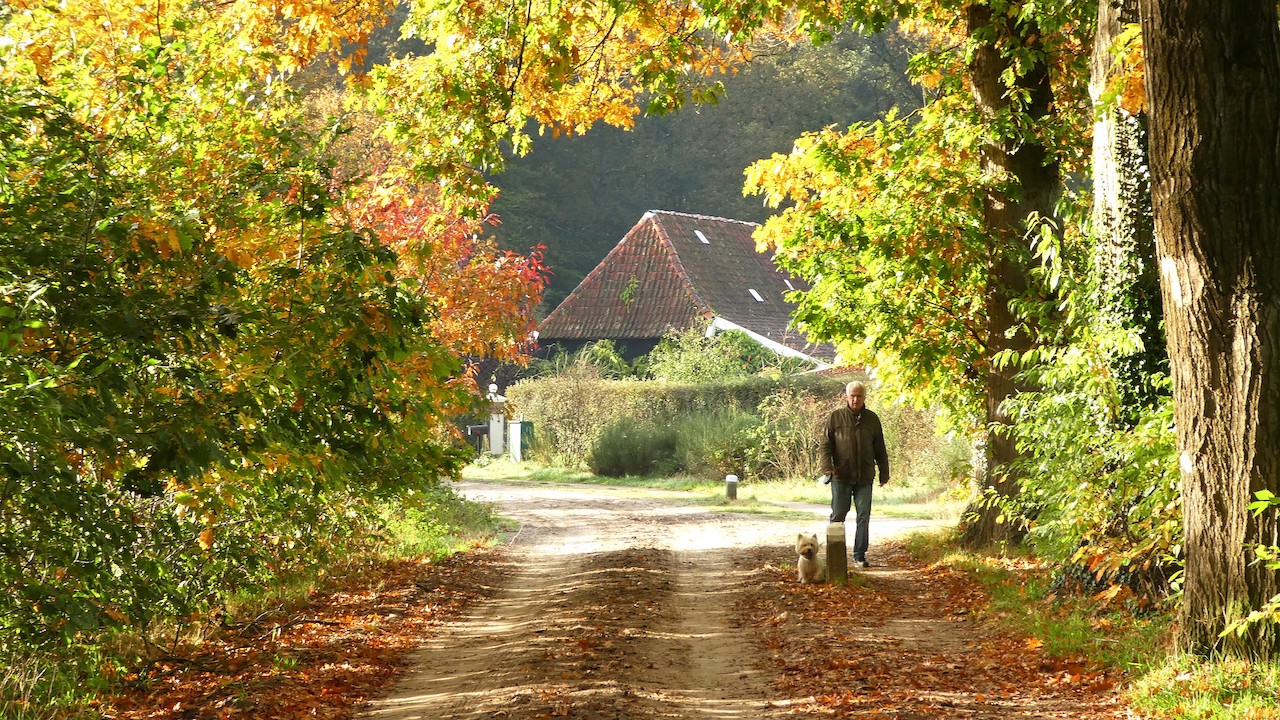 Krijgen we nog een Indian Summer? Foto: Willy Bonnink-Naves. 