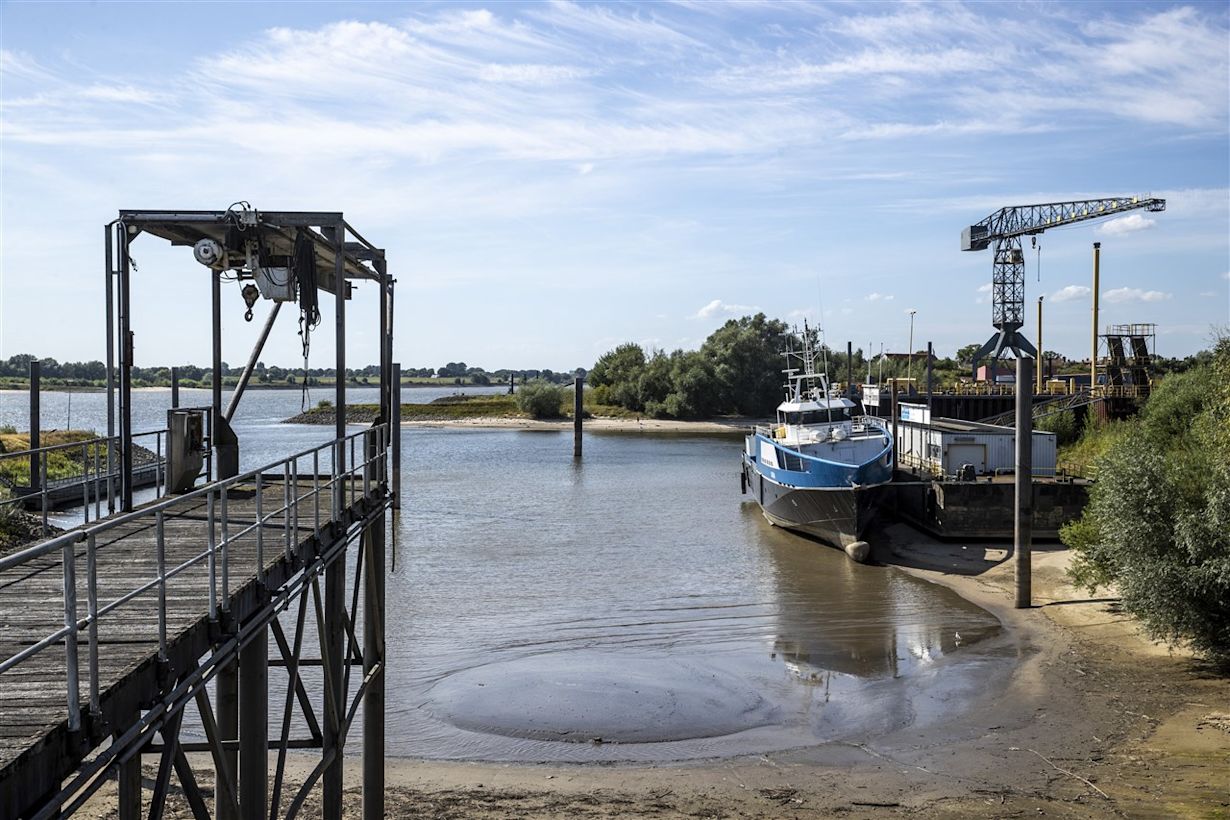 Bijna recordlage waterstand in de Rijn. Foto: ANP / Vincent Jannink.