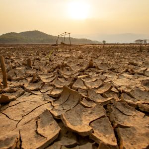 Alles over El Niño en de gevolgen van dit natuurfenomeen