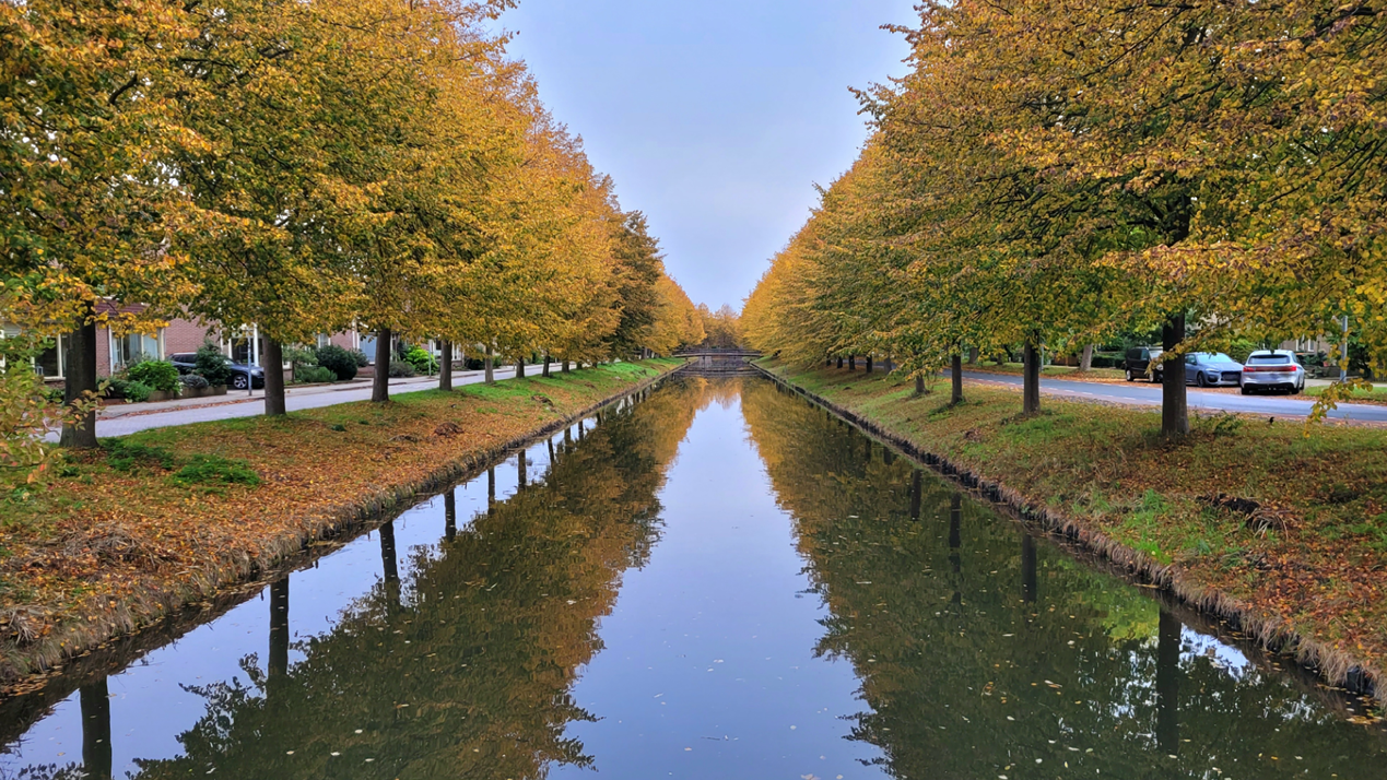 Fraaie herfstkleuren. Foto: Joke Nijenhuis