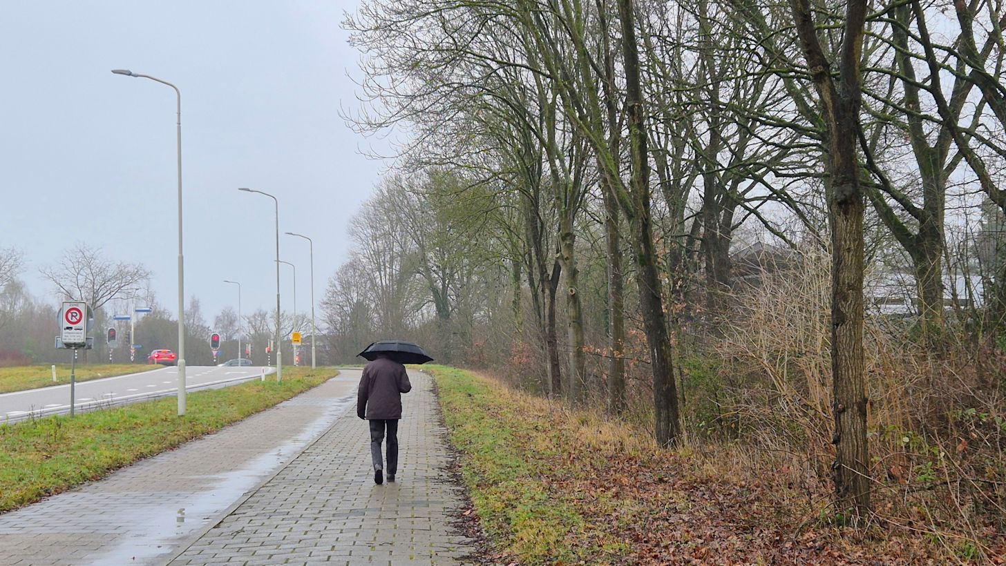 De week start met een buiig weertype. Dan komt een paraplu goed van pas. Foto: Francien Tax