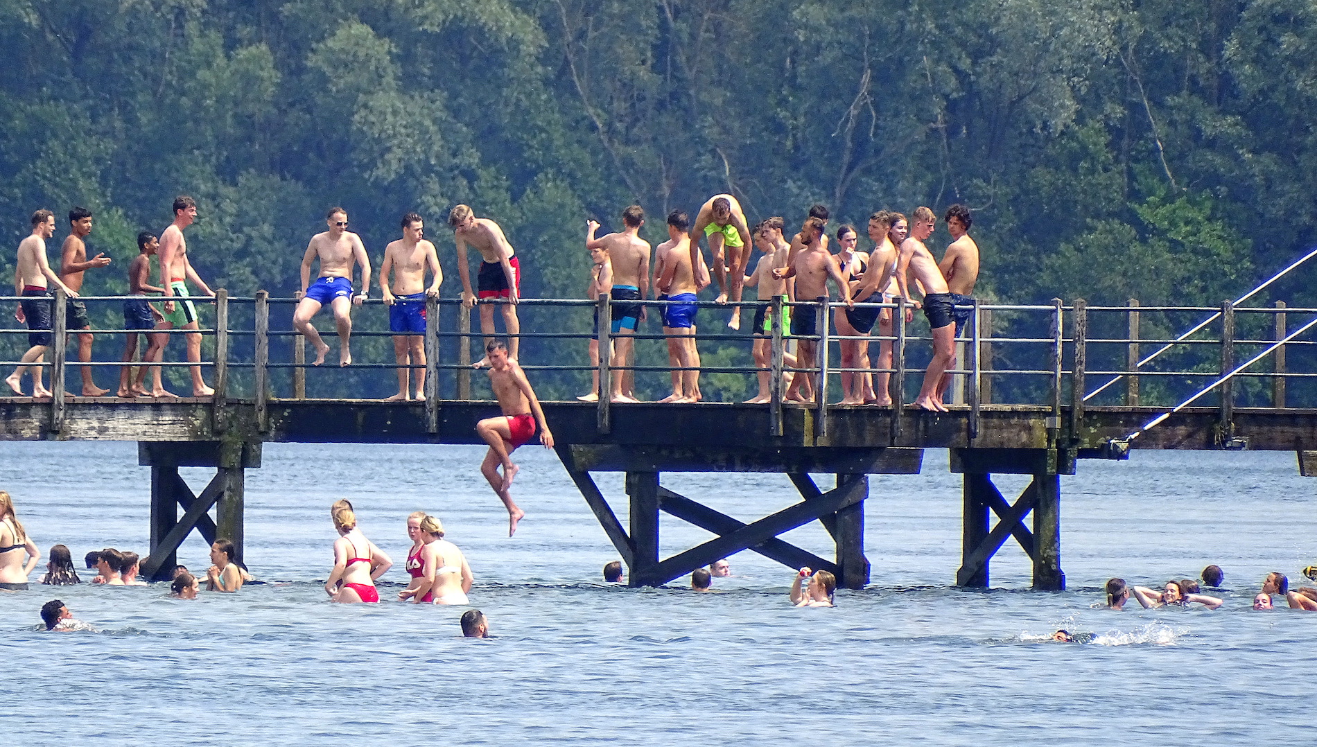 Bij hitte is het heerlijk om een verfrissende duik te nemen. Foto: Martin Herms.