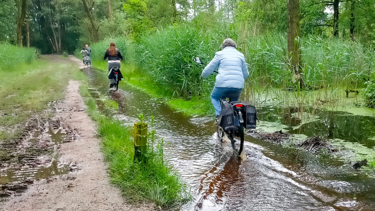 Natte bospaden door overvloedige regenval. Foto: Jos Hebben