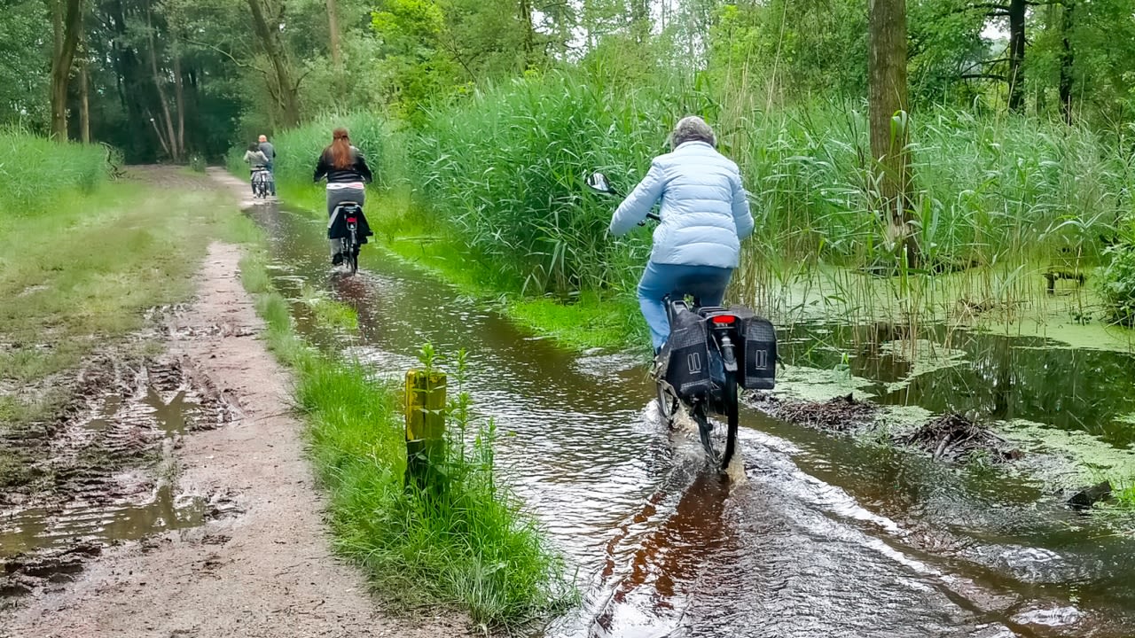 Natte bospaden door overvloedige regenval. Foto: Jos Hebben