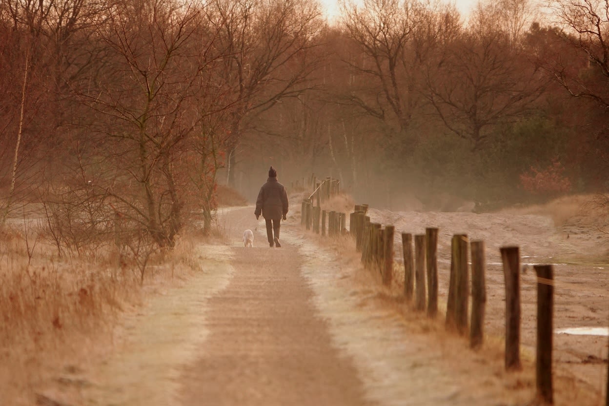 Kans op nachtvorst neemt dit weekend toe. Foto: Ben Saanen