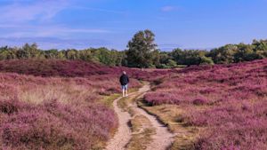 Augustus was droog en zonnig met gebruikelijke temperaturen