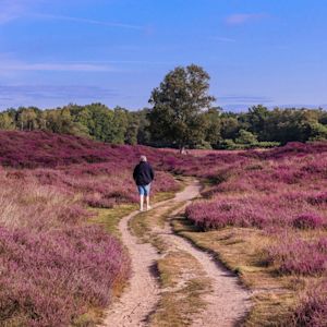 Terugblik augustus 2025: droog en zonnig