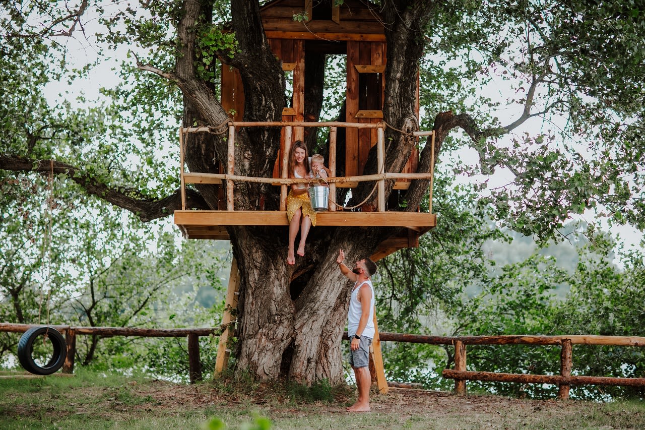 Boomhut, vakantie in de Benelux. Foto: Adobe Stock / Alina.