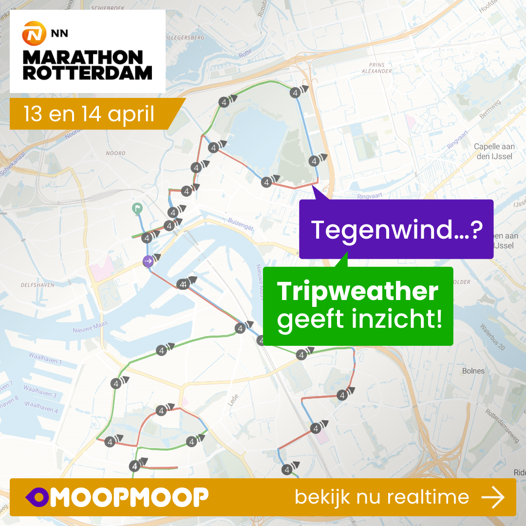 Marathon Rotterdam Tripweather