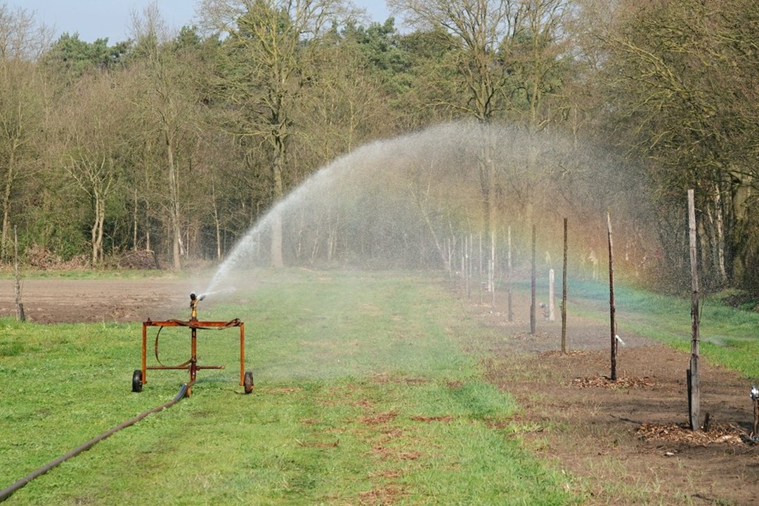 Het begint inmiddels droog te worden. Foto: Marlies Veugelers