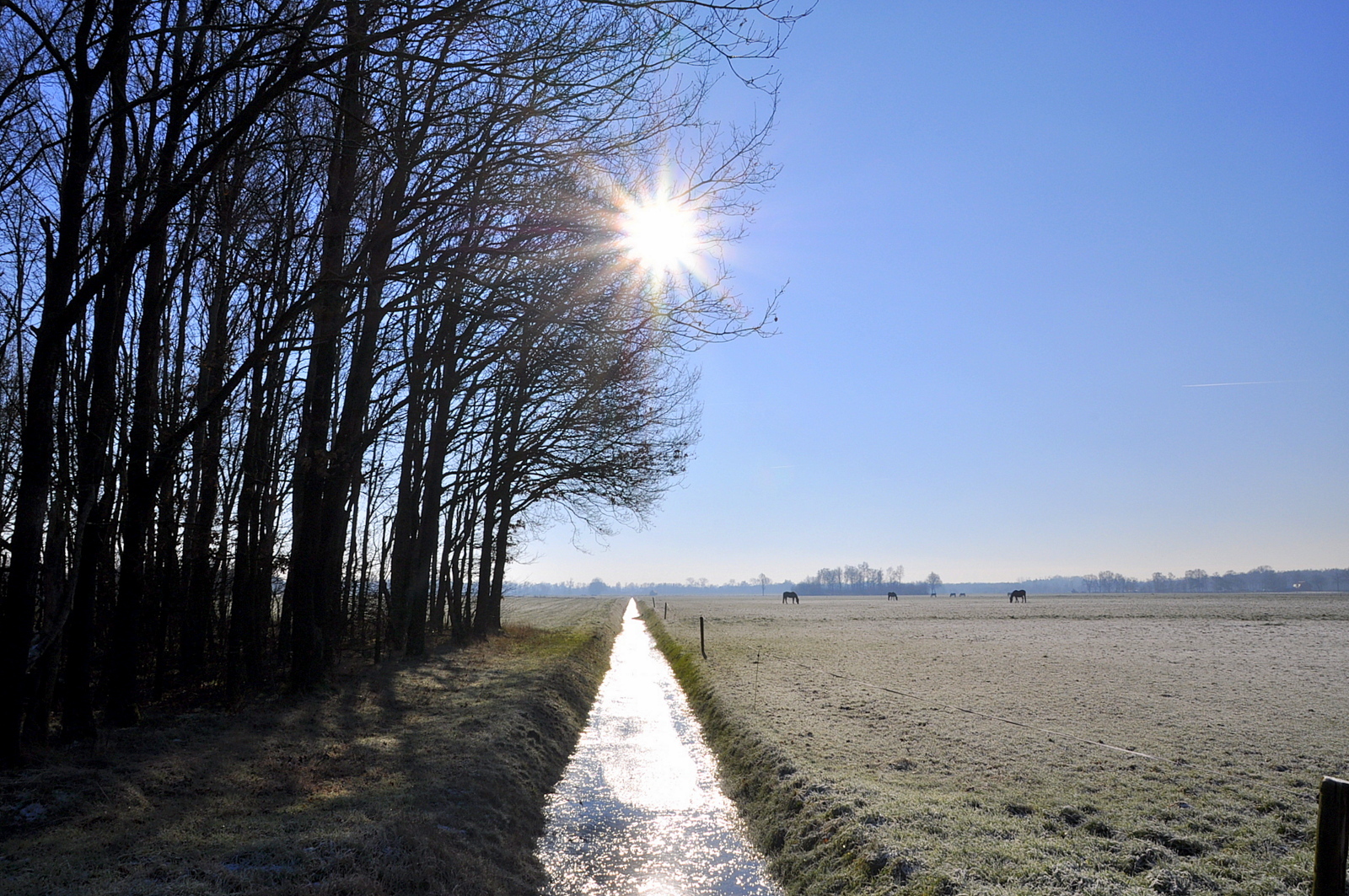 Weekverwachting: zonnige en erg koude kerst