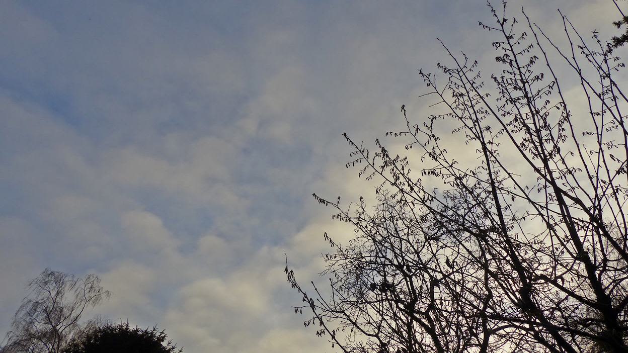 Tussen de bewolking breekt soms de zon door. Foto: Ria Luttikhold.