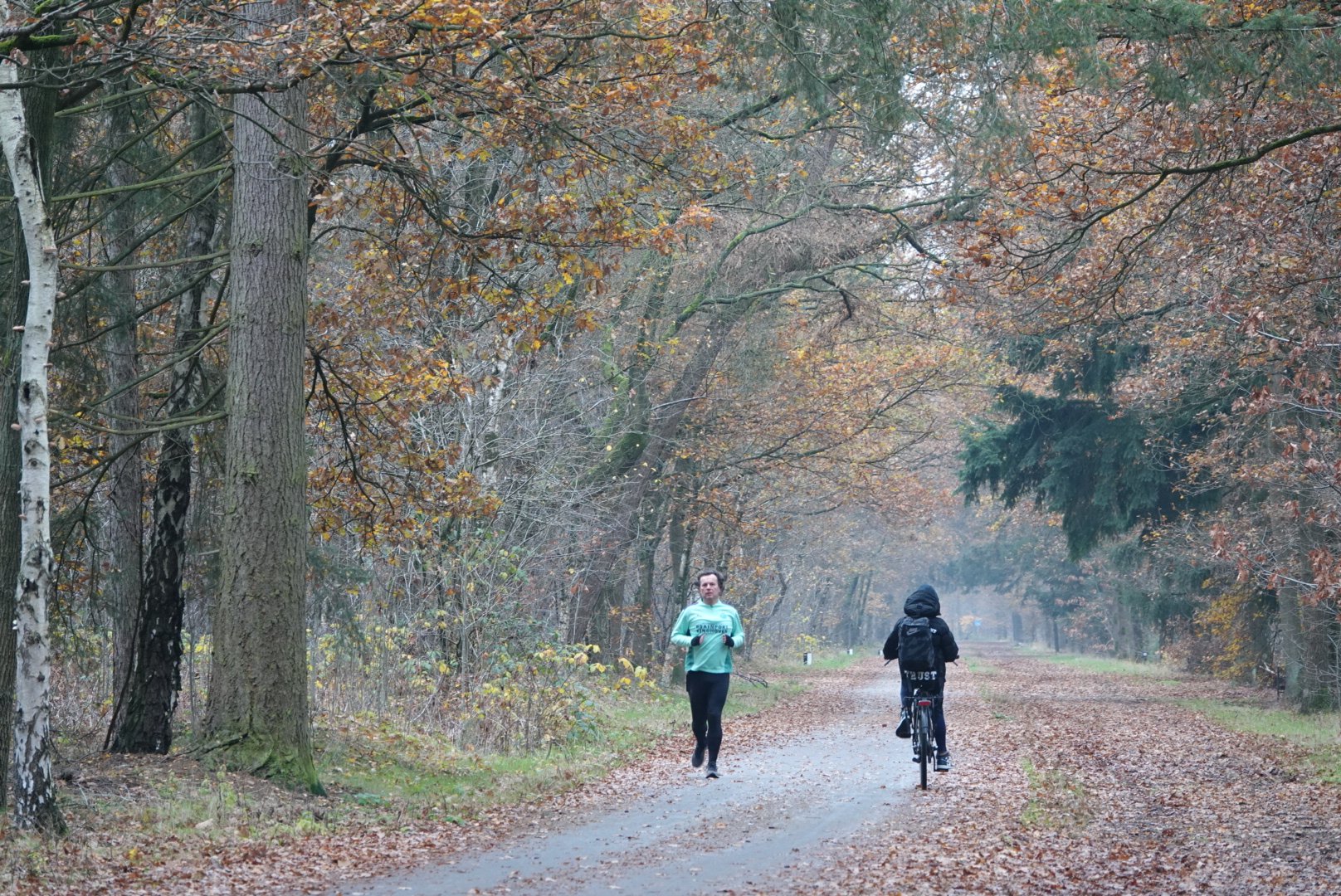 Er wordt een vrij koud weekend verwacht. Foto: Willem van Nunen