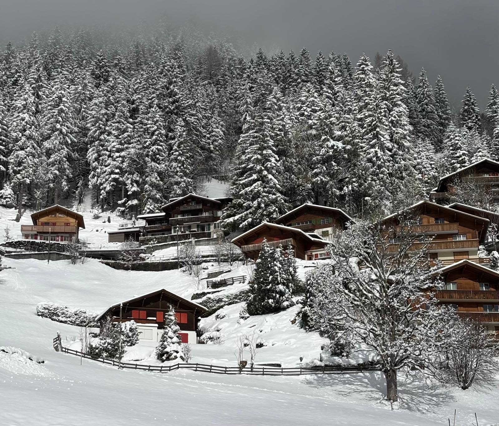 Vers pak sneeuw gevallen in Adelboden afgelopen weekend. Foto: Floris Lafeber