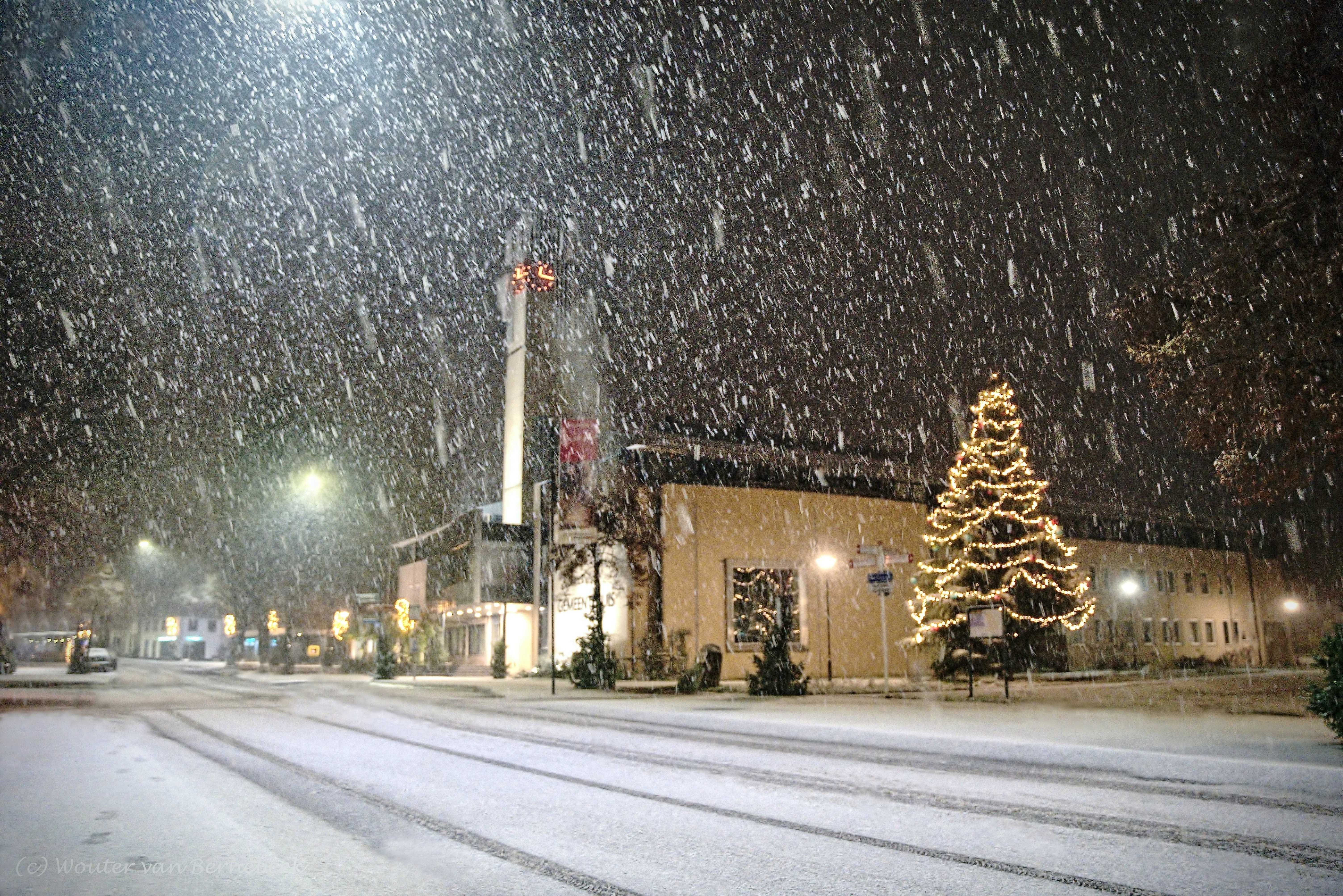 Witte kerst, kerstboom en sneeuwlandschap. Foto: Wouter van Bernebeek