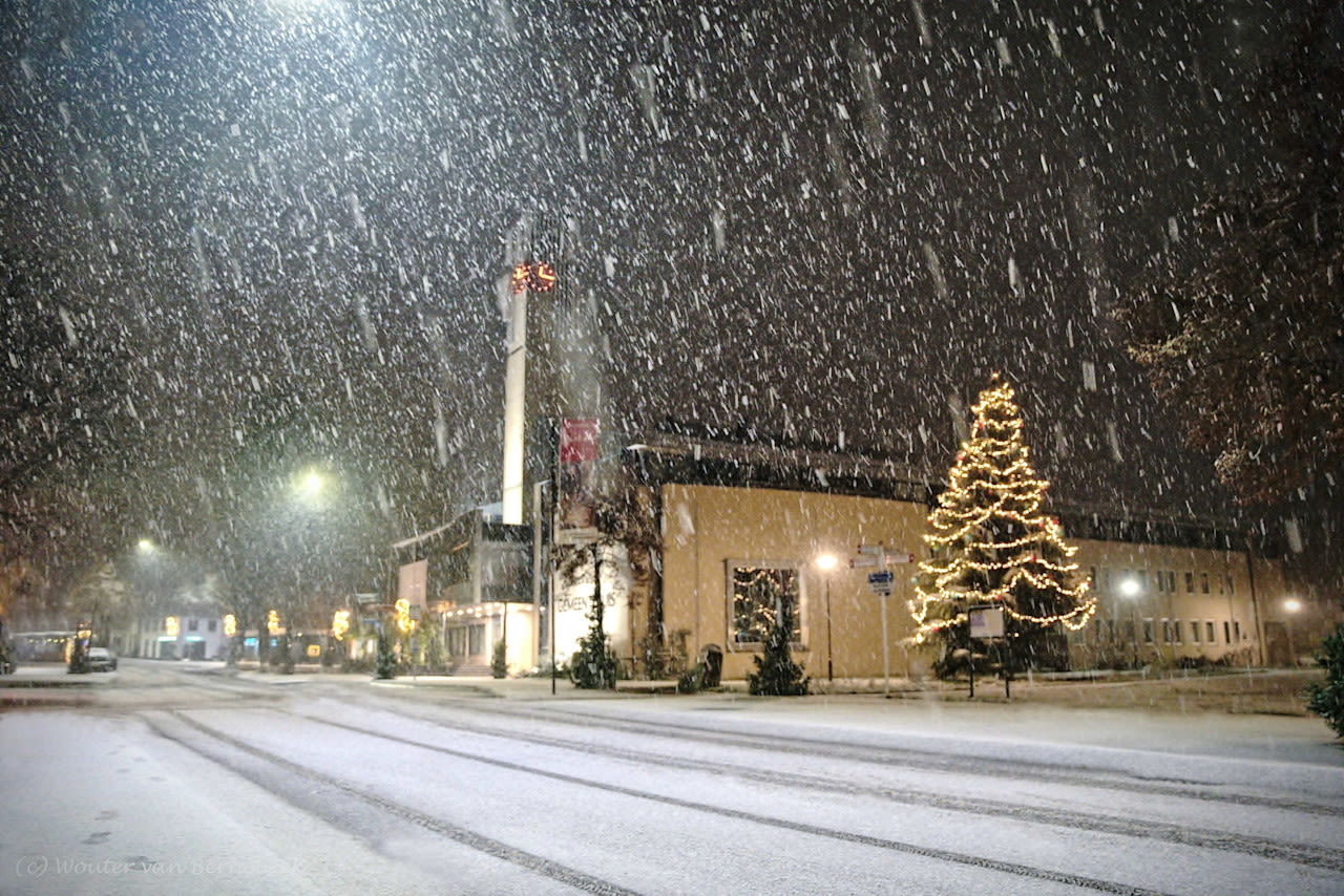 Witte kerst, kerstboom en sneeuwlandschap. Foto: Wouter van Bernebeek.