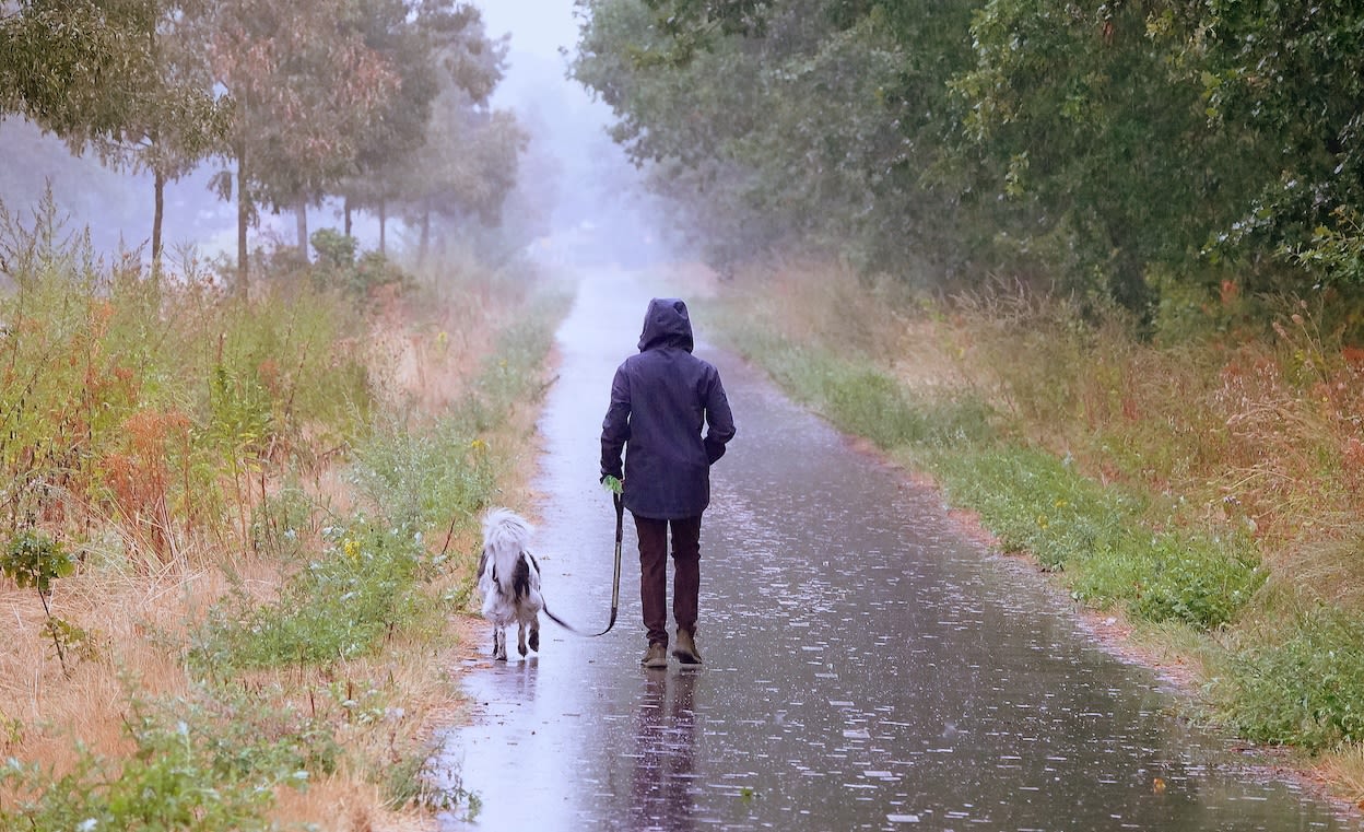 Soms komt het even met bakken uit de lucht. Foto: Ben Saanen