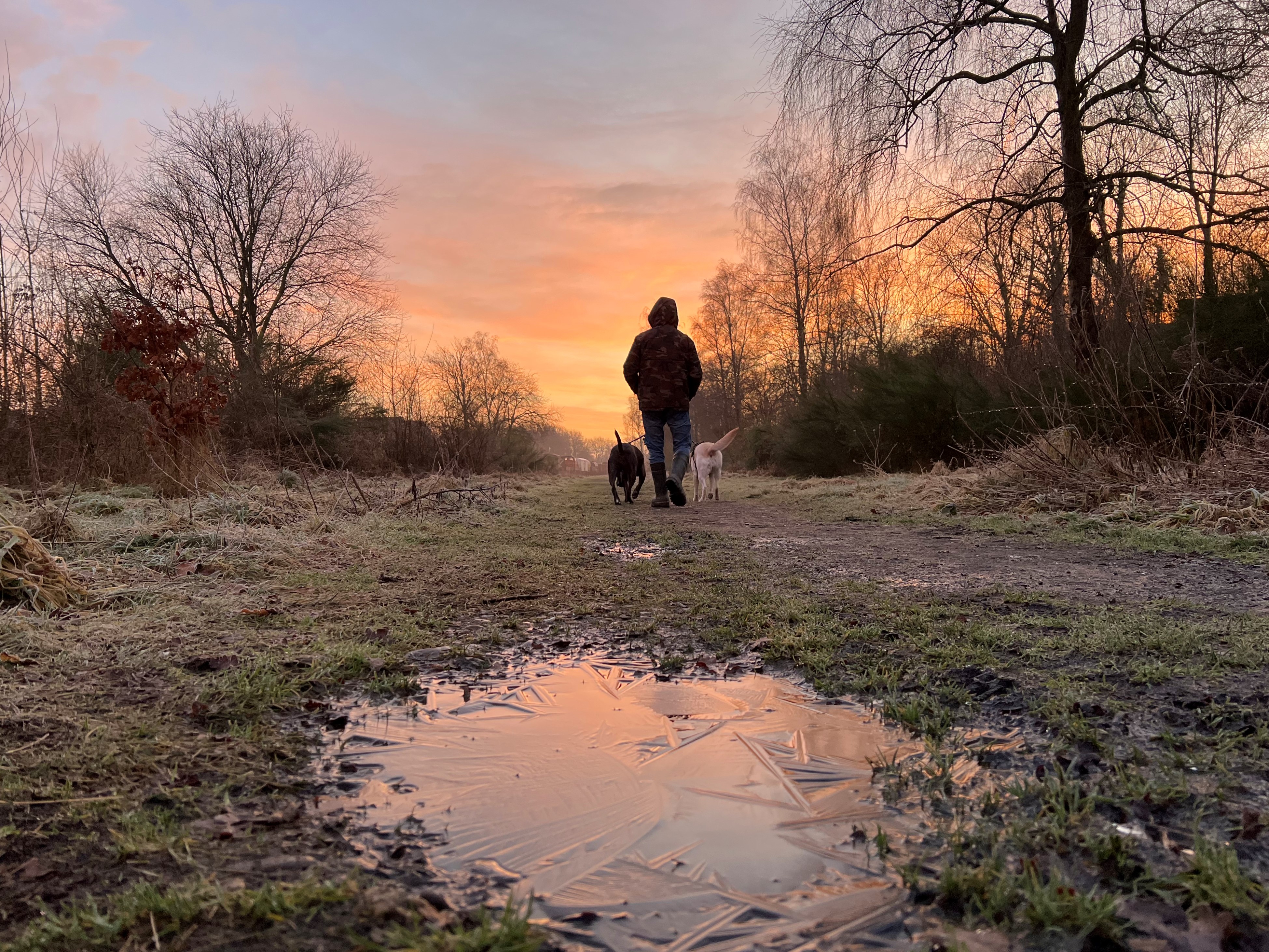 Vooral eind van de week wordt het erg koud. Foto: Diana Huntjes