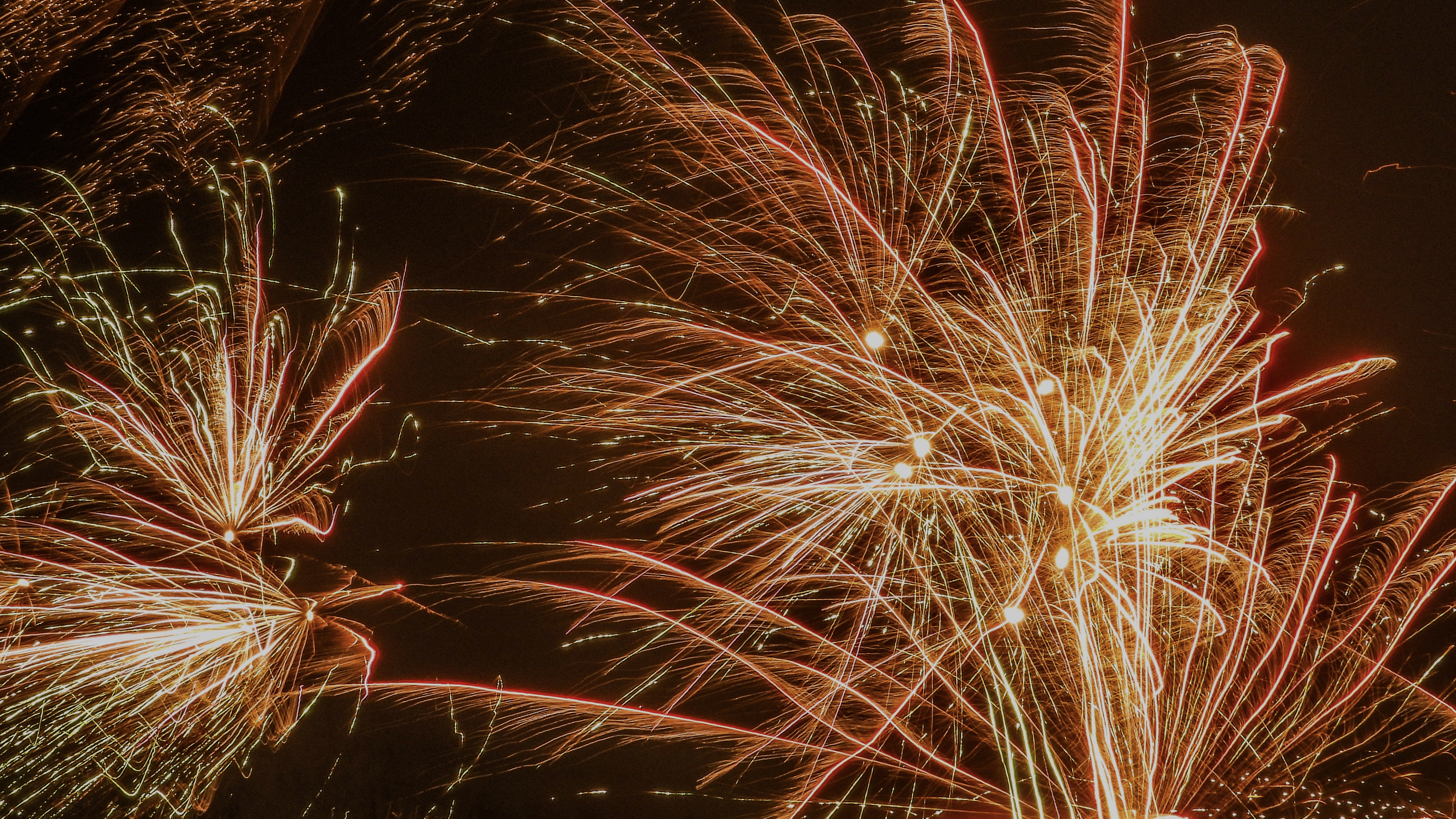 Vuurwerk tijdens de jaarwisseling. Foto: Trudy Fortuijn - van Es