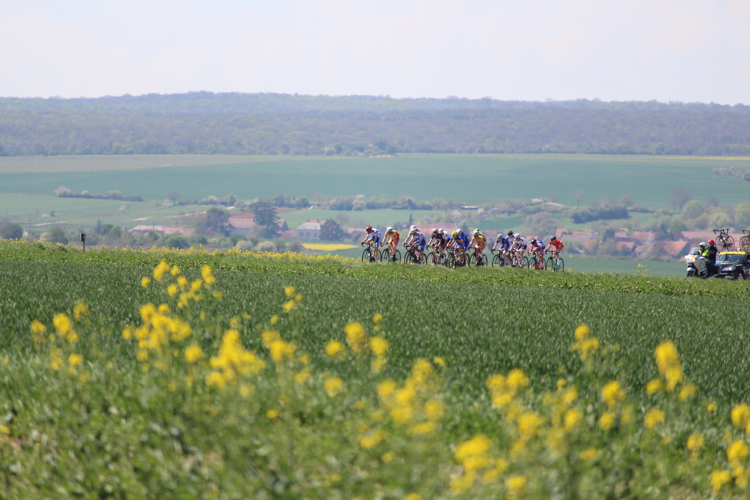 De Tour de France in de regio van Bordeaux. Foto: AdobeStock / Maurin