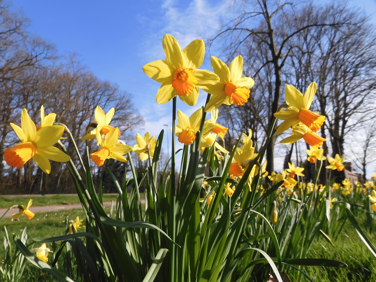 Prachtige lentedag. Foto: Stan Lafleur