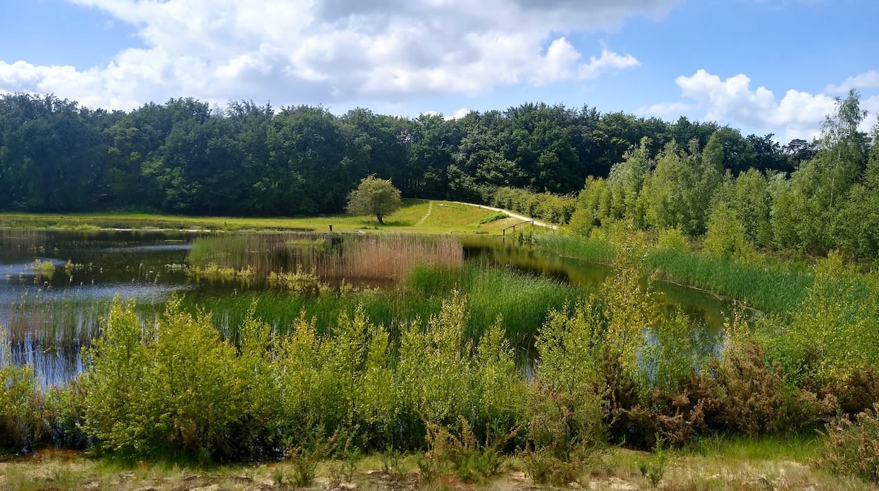 Het Naardermeer. Foto: Adobe Stock / Chanteur-de-Vent.