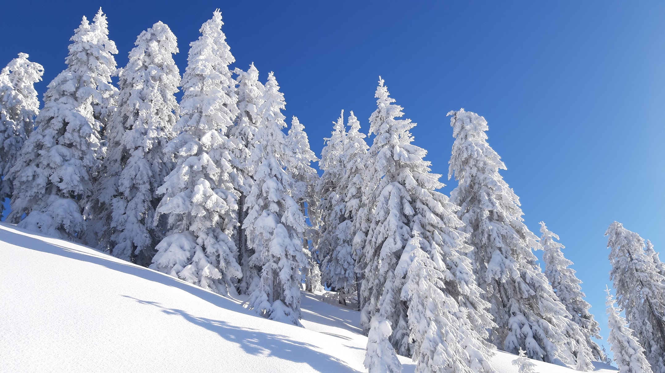 Droomcondities deze dinsdag in Westendorf in Tirol (bron: Bergbahnen Westendorf)