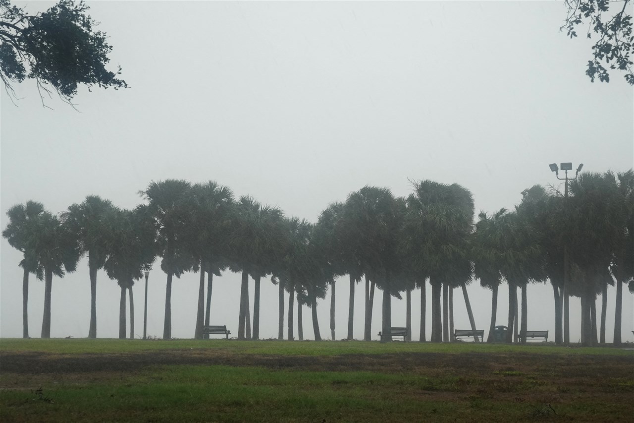 Palmbomen in de mist op Vinoy Park in St. Petersburg, Florida. Foto: Bryan R. Smith.
