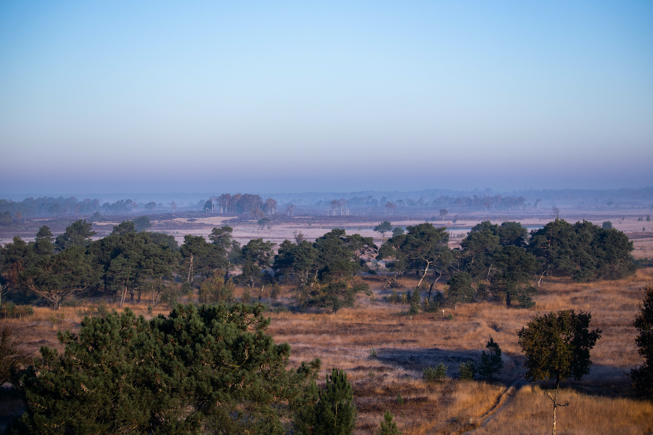 De ultieme roadtrip door de Belgische natuur