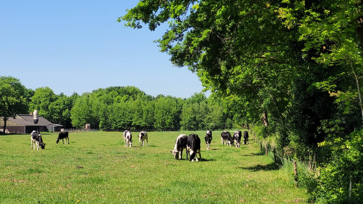 Zonnig en warm lenteweer. Francien Tax.