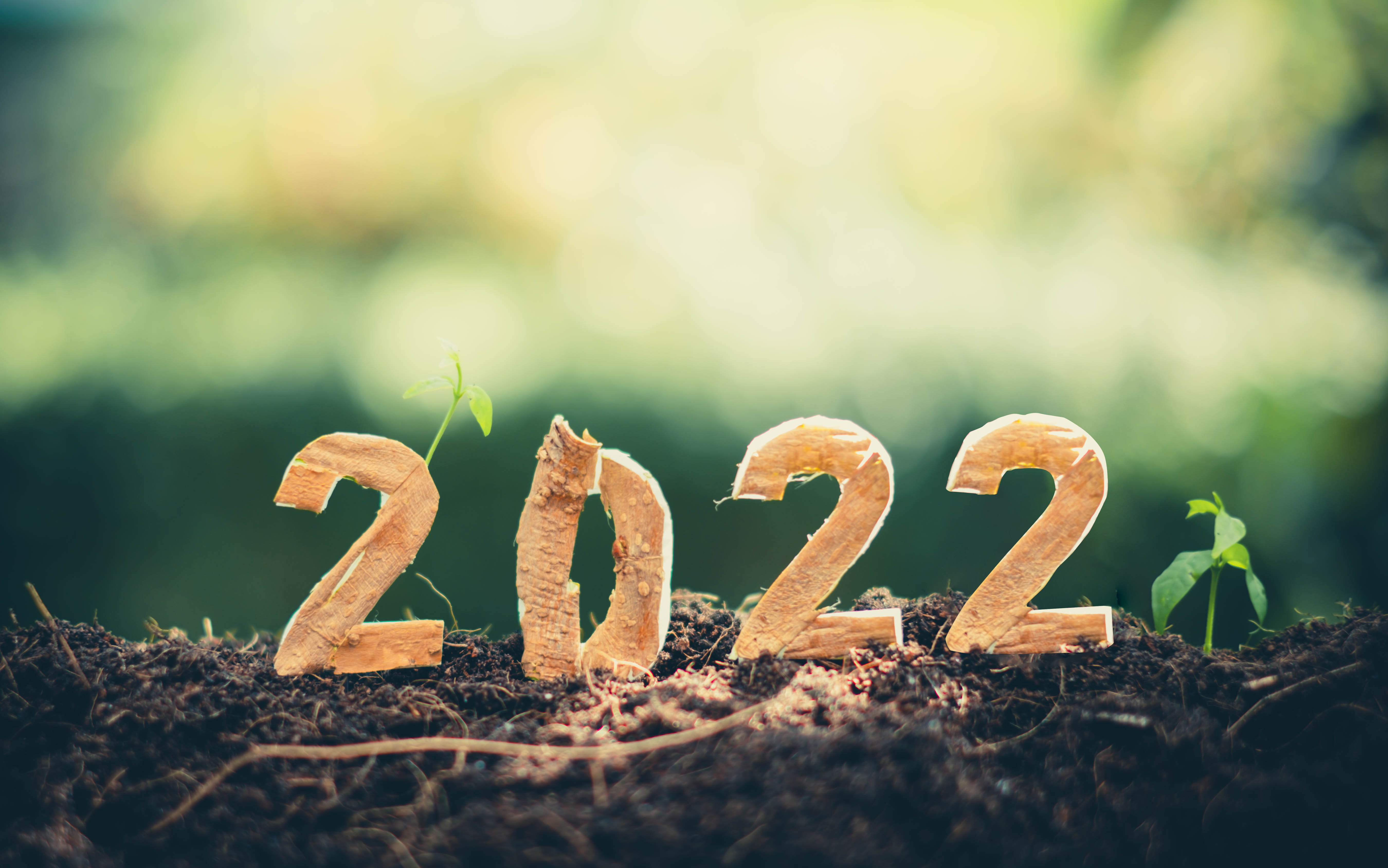 Jaarwisseling 2022. Foto: Yuttana Studio