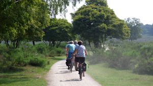 Weekverwachting: meteorologische zomer start lokaal met zomerse temperaturen