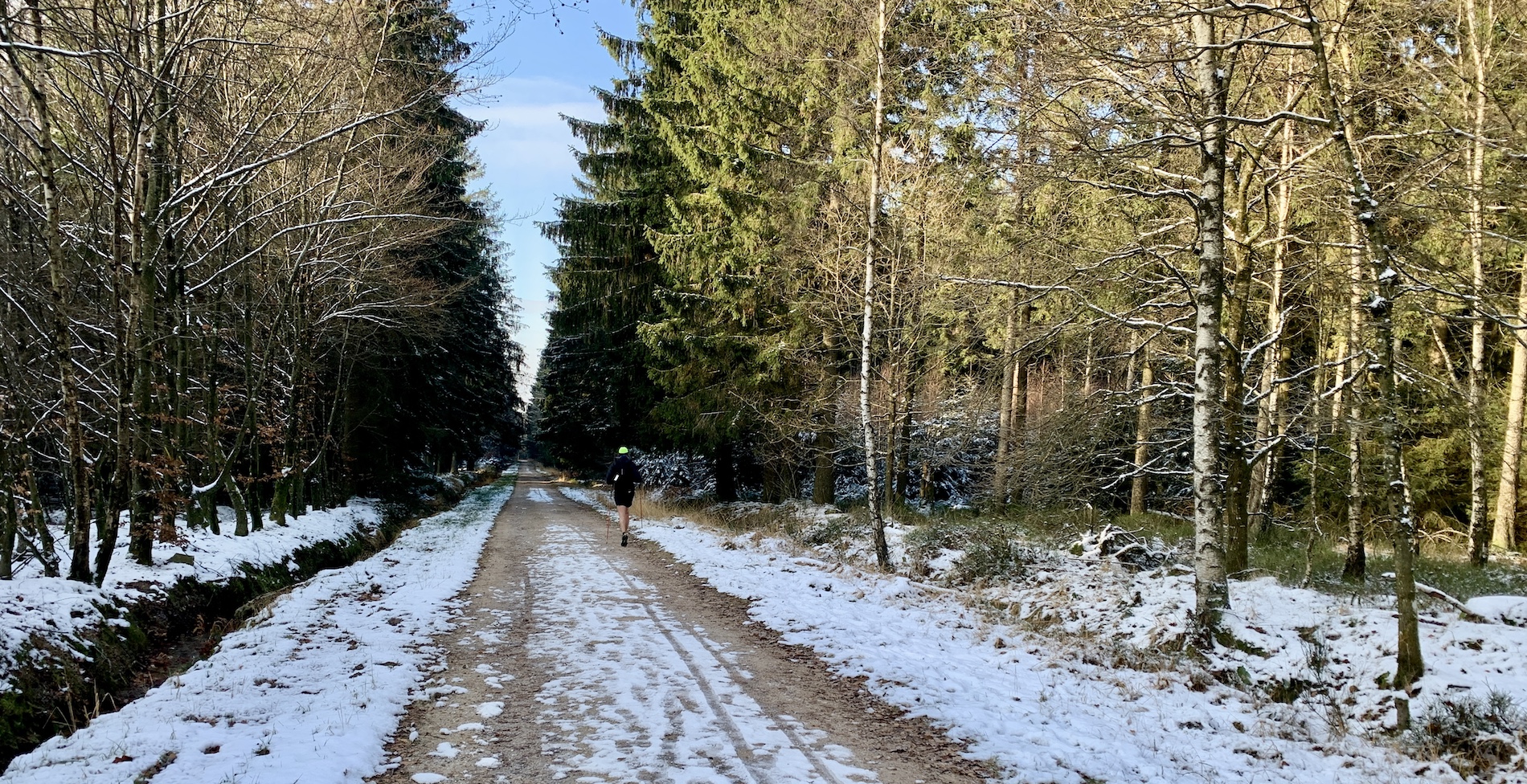 Sneeuw en zon, Ardennen. Foto: Yannick Damen