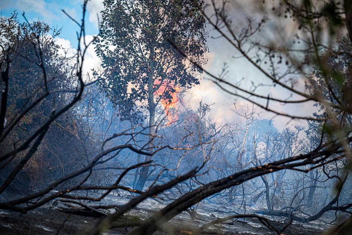 Een natuurbrand in het duingebied langs het Oosterduinpad bij het Zuid-Hollandse Ouddorp. Foto: MEDIA TV / ANP