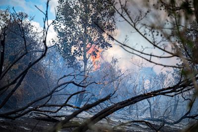 Opnieuw natuurbrand in Wijchen