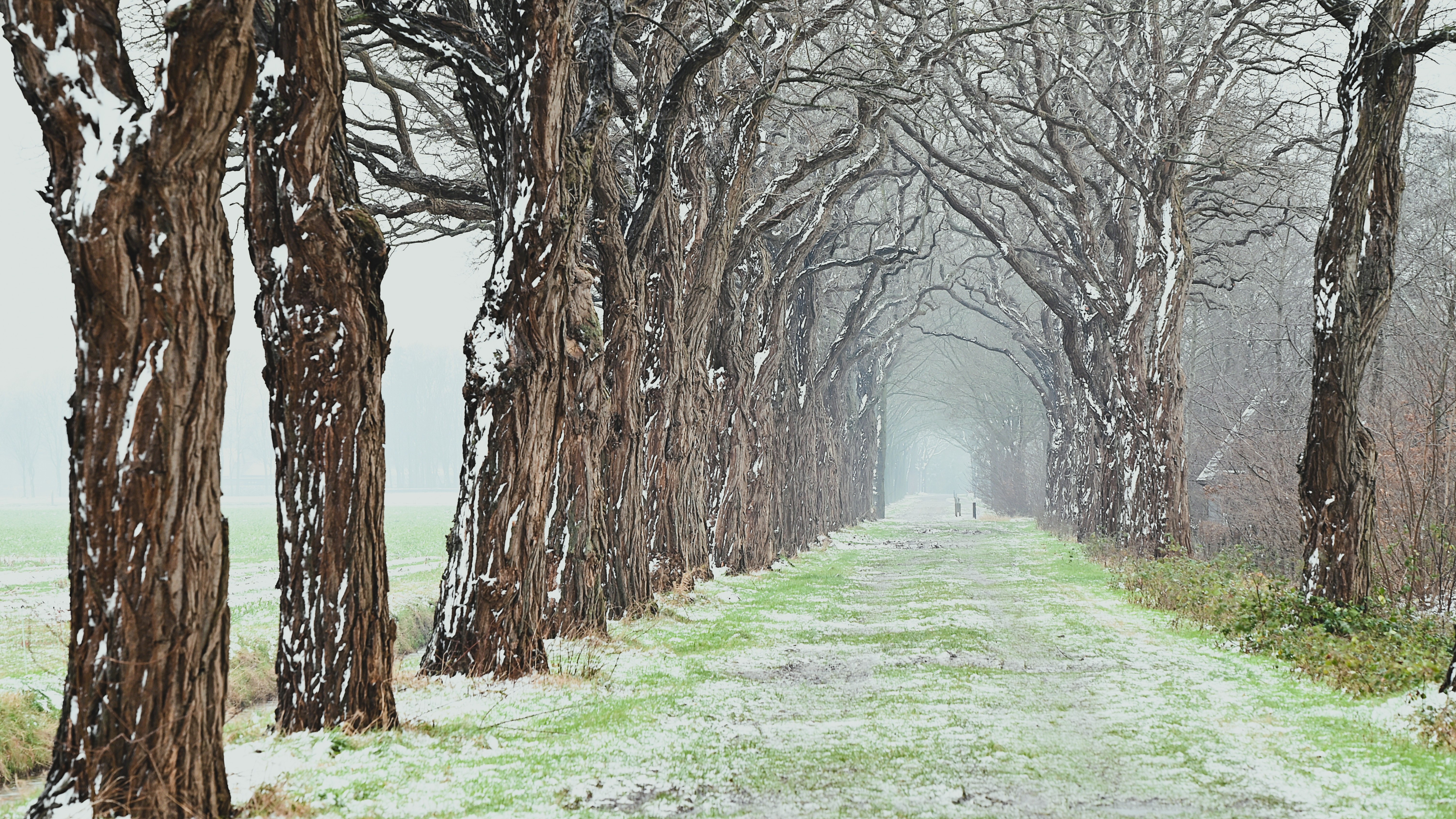 Licht winters landschap op 5 januari. Foto: Alex van den Akker