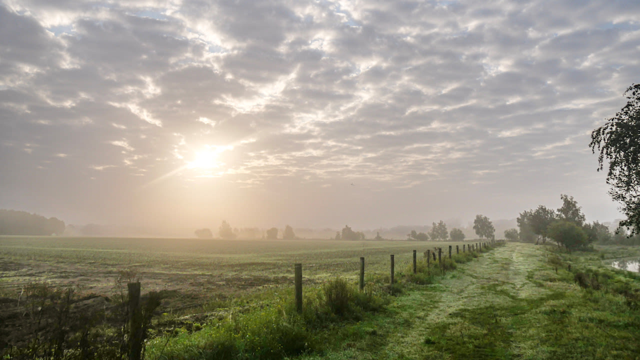 Zon breekt door. Foto: Jos Hebben