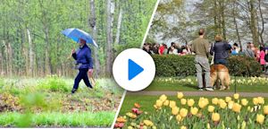 Lenteverwachting: warm lenteweer in aantocht