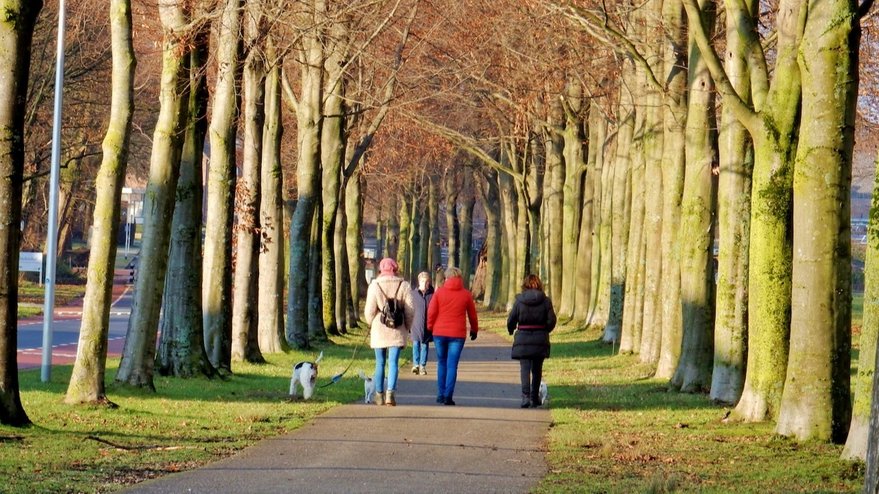 Warmterecord - Nieuwjaarsdag - Lenteachtig