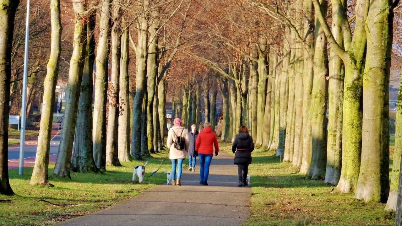Warmterecord - Nieuwjaarsdag - Lenteachtig