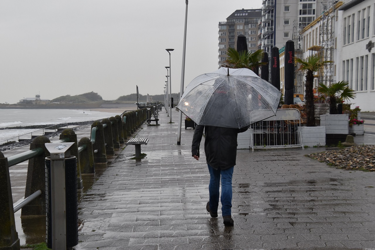 De paraplu is dit jaar vaak nodig. Foto: Anne-Marie van Iersel