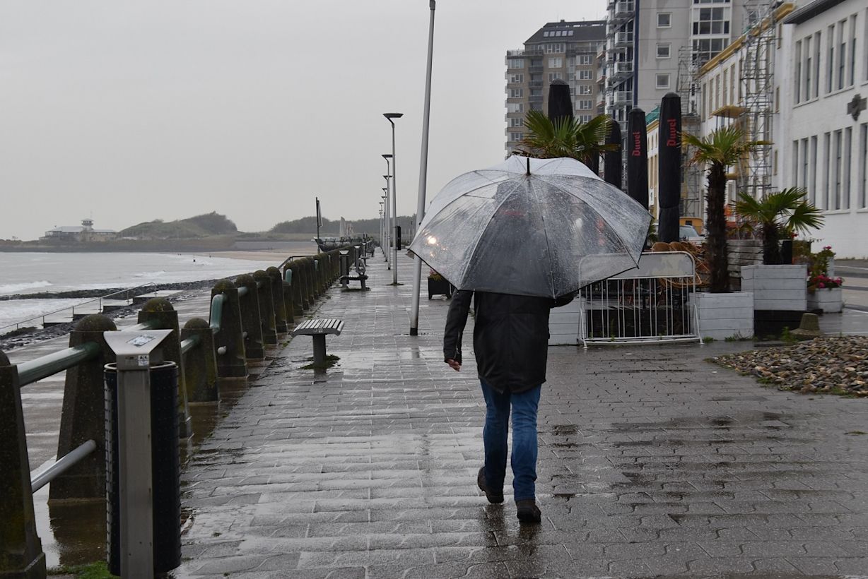De paraplu is dit jaar vaak nodig. Foto: Anne-Marie van Iersel